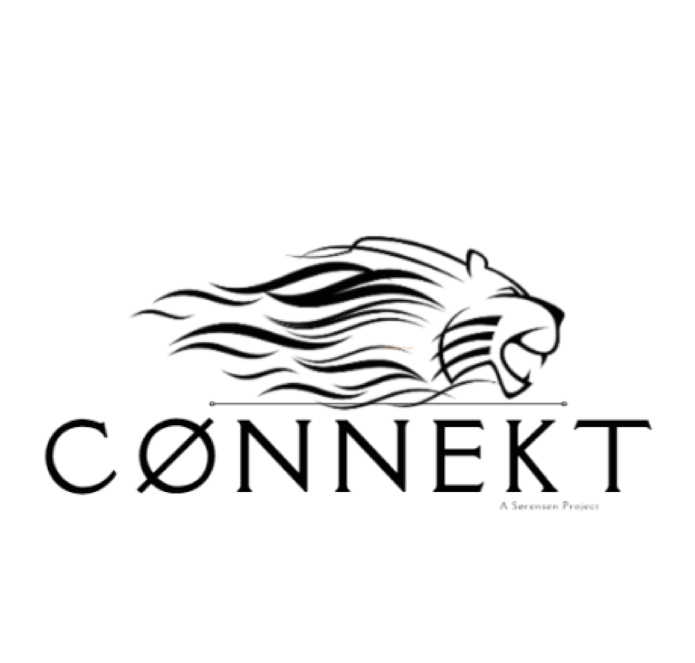 Cønnekt Communication Consultants